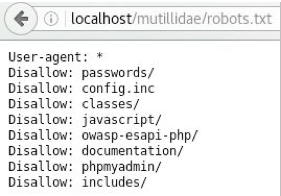 Cross Site Scripting XSS