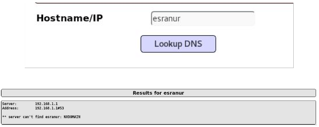 Cross Site Scripting XSS