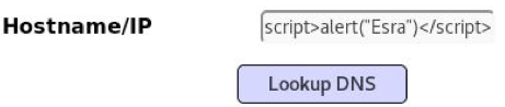 Cross Site Scripting XSS