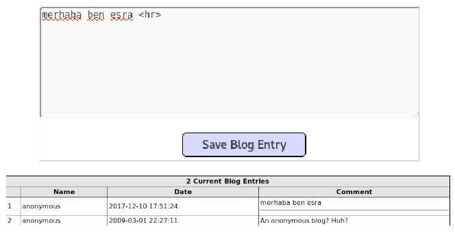 Cross Site Scripting XSS