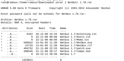 Static Malware Analysis of NetBus Trojan