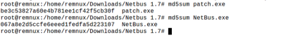 Static Malware Analysis of NetBus Trojan